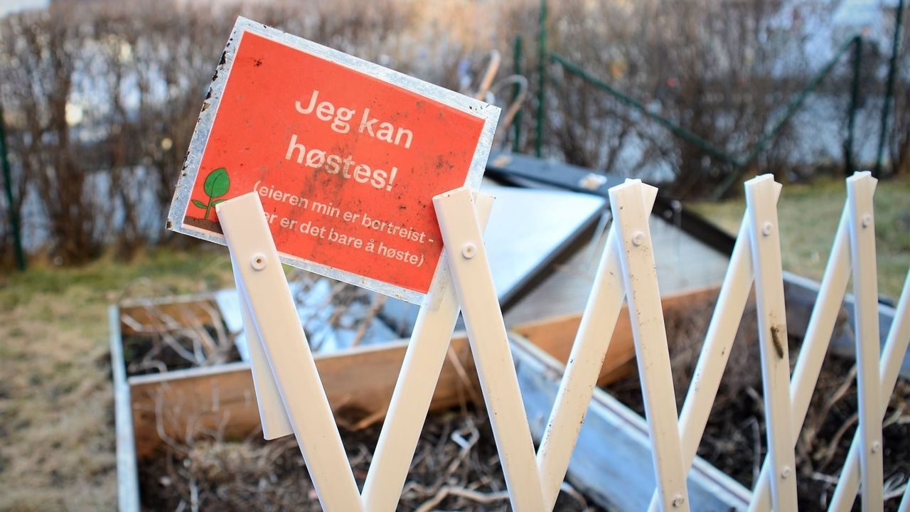 dyrking: beskjed til naboene