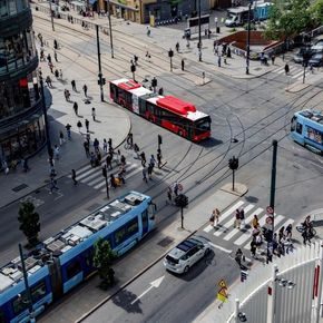 klimadirektører, kommunene