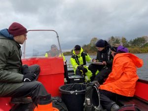 Fra befaring på Oslofjorden i oktober 2021. Foto: Linn Marie Heimberg