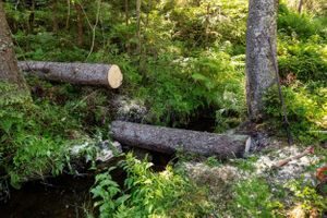 flomdemping fordrøyning trestokker marka klimatilpasning