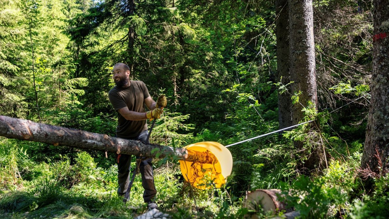 flomdemping fordrøyning trestokker marka klimatilpasning