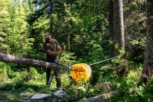 flomdemping fordrøyning trestokker marka klimatilpasning