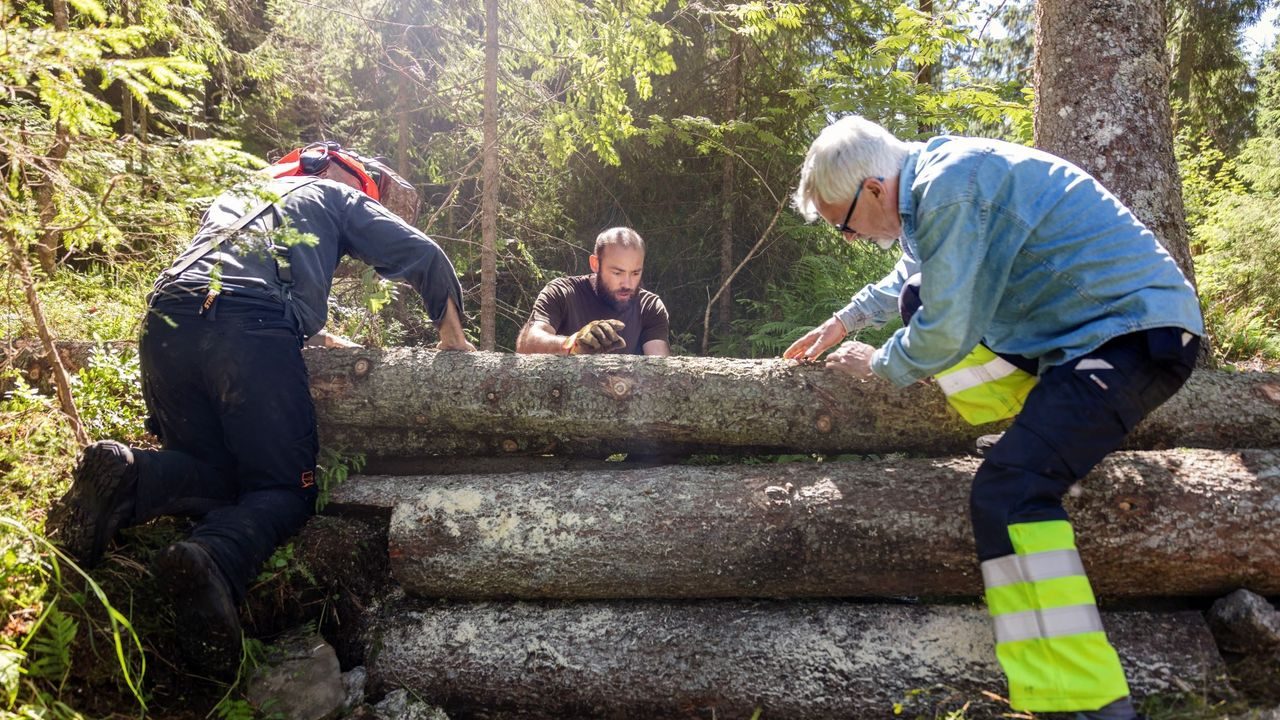 flomdemping fordrøyning trestokker marka klimatilpasning