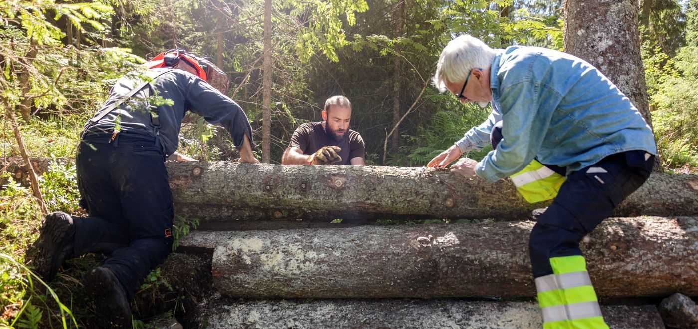 flomdemping fordrøyning trestokker marka klimatilpasning