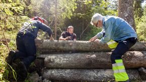 flomdemping fordrøyning trestokker marka klimatilpasning