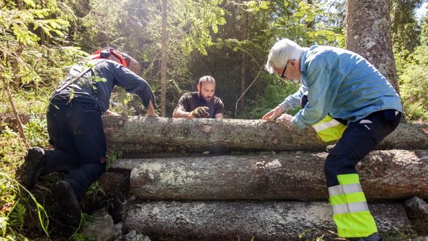 flomdemping fordrøyning trestokker marka klimatilpasning