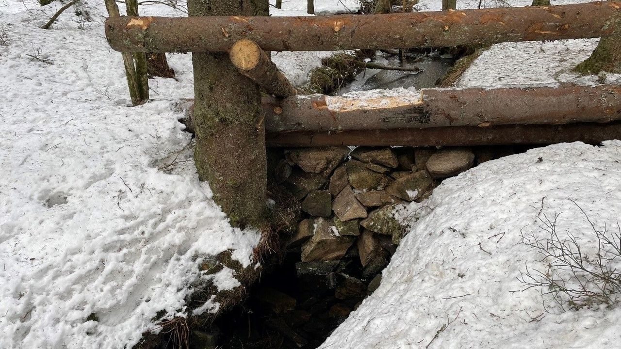 fordrøyning klimatilpasning trestokker marka