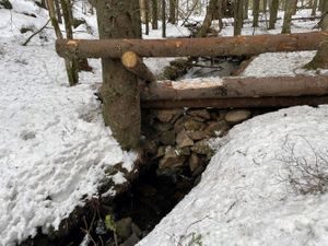 fordrøyning klimatilpasning trestokker marka