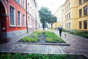 Det store blomsterbedet i gatetunet i Deichmans gate/Wilses gate. En skulle nesten ikke tro at bedet er spesialbygd for å ta opp store mengder vann.