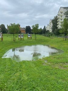 En liten dam som har blitt dannet i en forsenkning i bakken kan samle opp styrtregn.