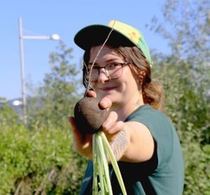 Svartnepe. Det bugner av grønnsaker på Losæter
