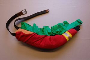 Halloweenkostyme dinosaur